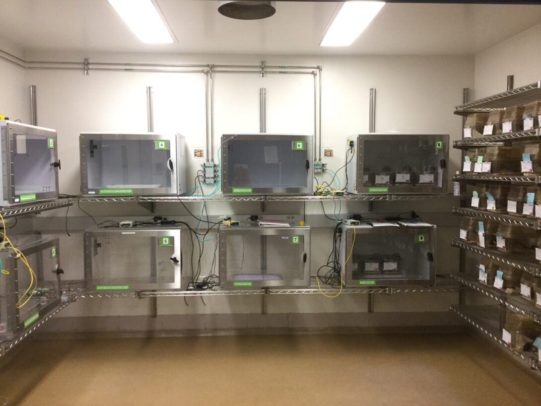 Rodent Hypoxia / Hyperoxia Chambers in BRL 128 (BioSpherix Inc)